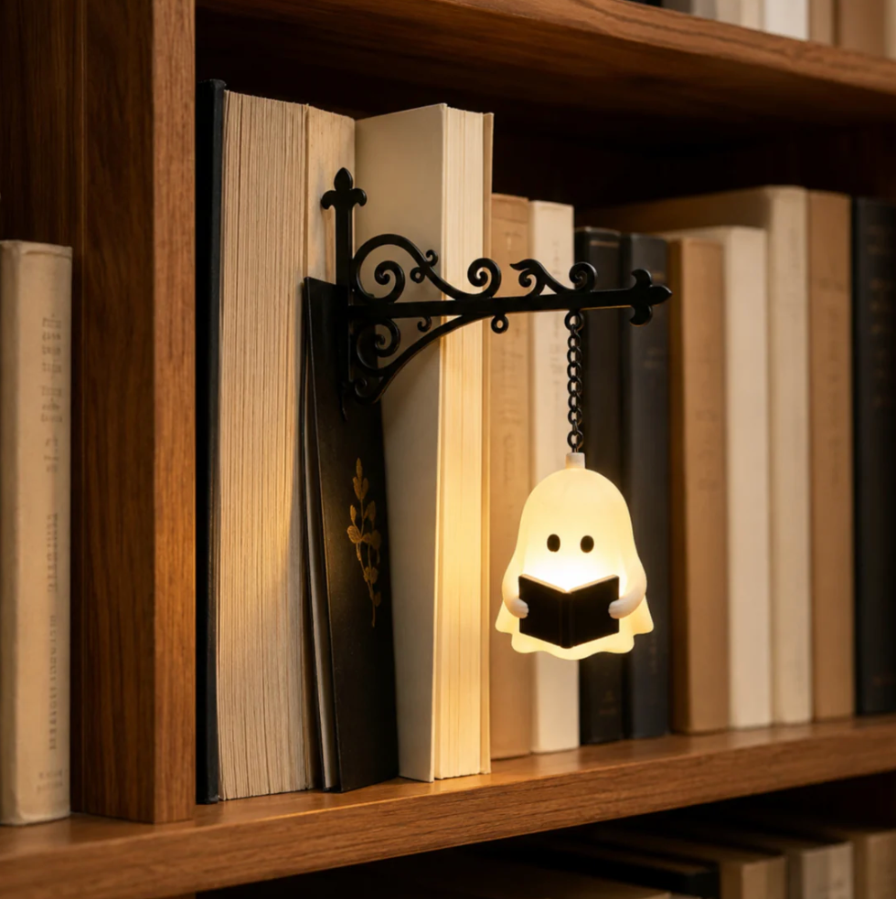 The Bookshelf Lamp